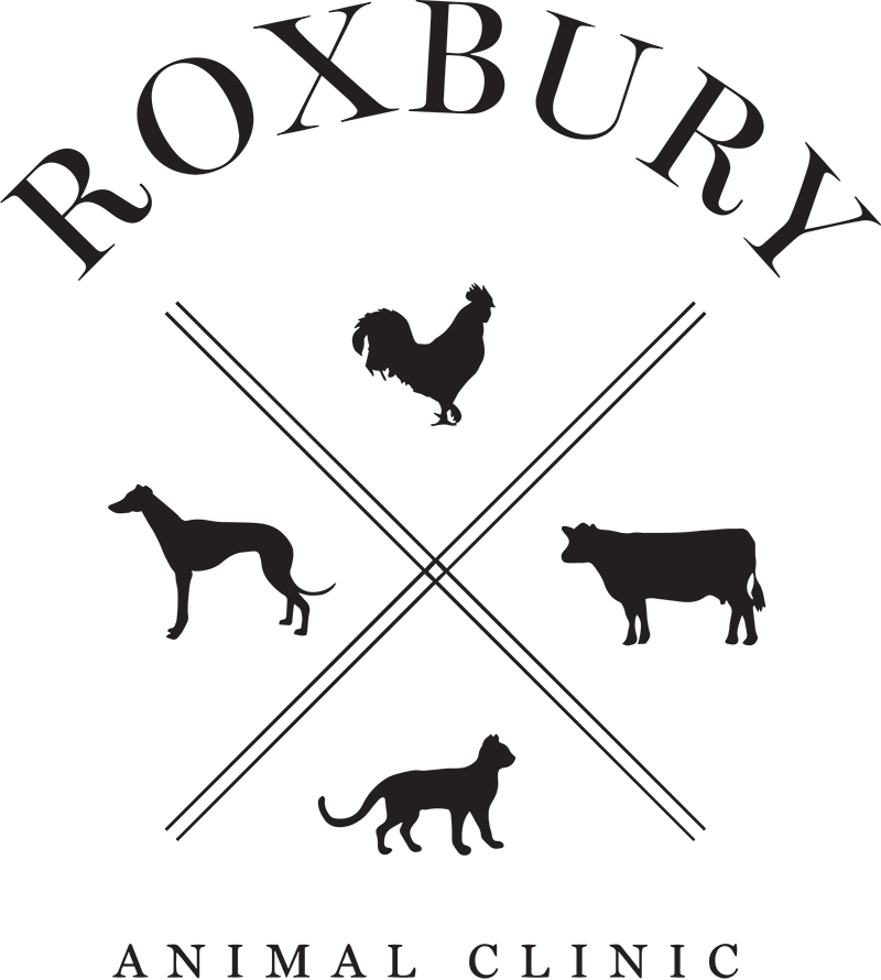 Roxbury Animal Clinic Logo